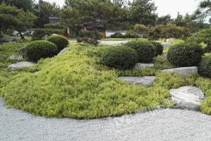 园区环境