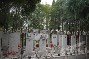 园区环境