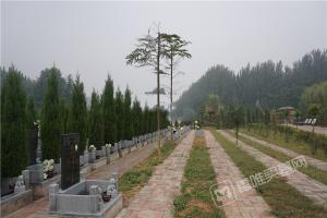 园区环境