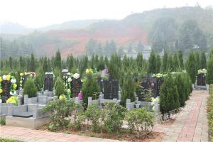 园区环境