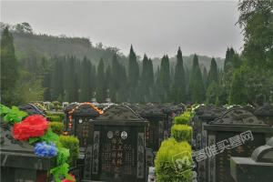 园区环境