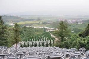 园区环境
