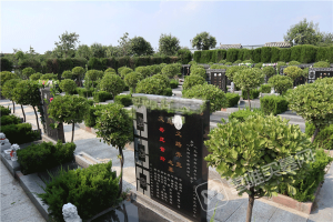 园区环境