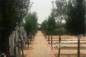 园区环境