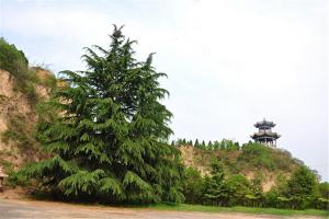 园区环境