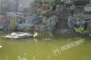 园区环境