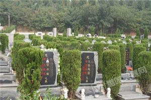  园区环境