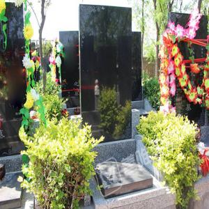 卧龙苑 立碑