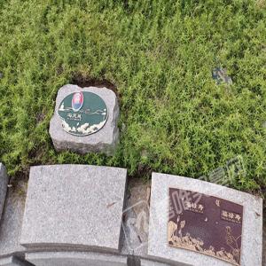 花坛葬
